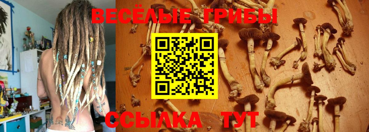 Галлюциногенные грибы MAGIC MUSHROOMS Вязники