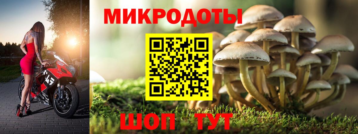 даркнет сайт  Вход с VPN  Вязники  Галлюциногенные грибы мицелий 